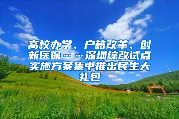 高校办学、户籍改革、创新医保……深圳综改试点实施方案集中推出民生大礼包