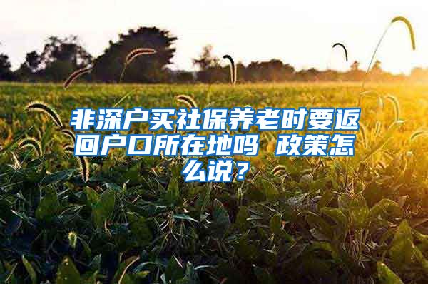 非深户买社保养老时要返回户口所在地吗 政策怎么说？