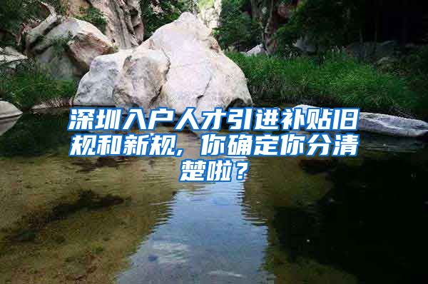 深圳入户人才引进补贴旧规和新规, 你确定你分清楚啦？