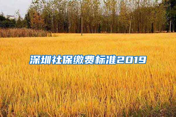 深圳社保缴费标准2019