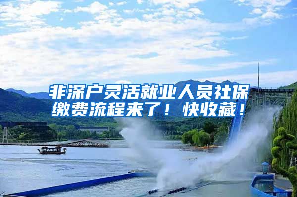 非深户灵活就业人员社保缴费流程来了！快收藏！