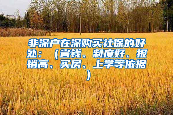 非深户在深购买社保的好处：（省钱、制度好、报销高、买房、上学等依据）