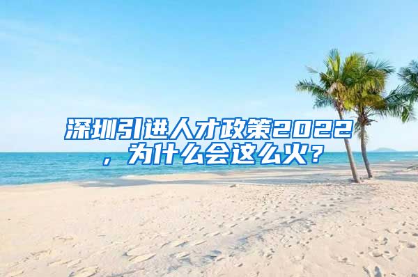 深圳引进人才政策2022，为什么会这么火？