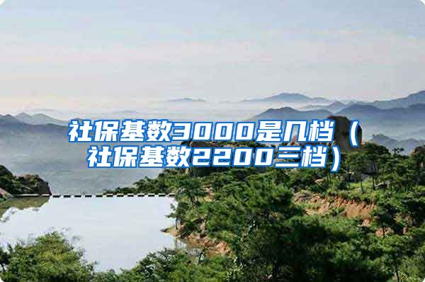 社保基数3000是几档（社保基数2200三档）