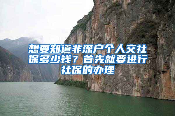 想要知道非深户个人交社保多少钱？首先就要进行社保的办理