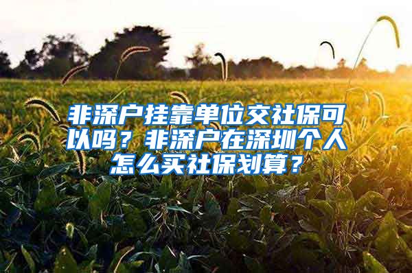 非深户挂靠单位交社保可以吗？非深户在深圳个人怎么买社保划算？