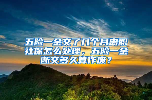 五险一金交了几个月离职社保怎么处理，五险一金断交多久算作废？