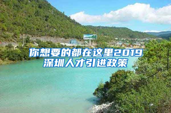 你想要的都在这里2019深圳人才引进政策