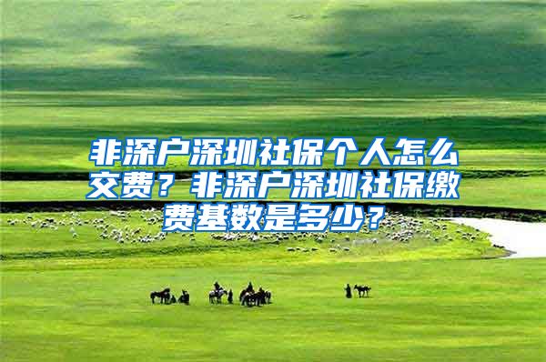 非深户深圳社保个人怎么交费？非深户深圳社保缴费基数是多少？