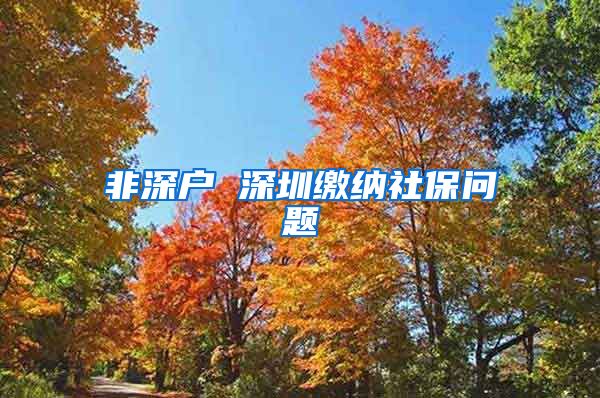 非深户 深圳缴纳社保问题