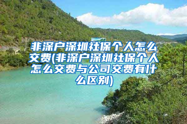 非深户深圳社保个人怎么交费(非深户深圳社保个人怎么交费与公司交费有什么区别)