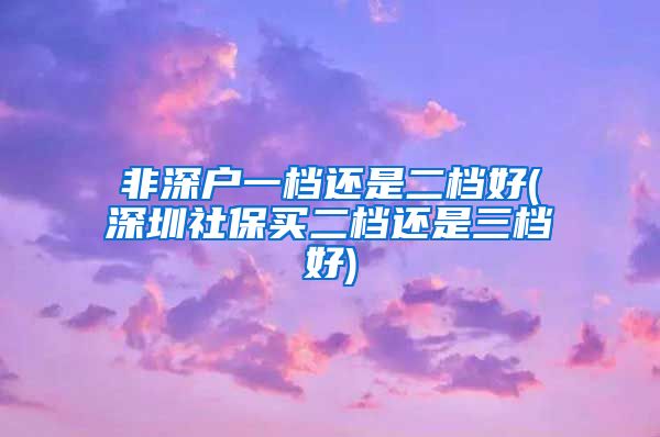 非深户一档还是二档好(深圳社保买二档还是三档好)