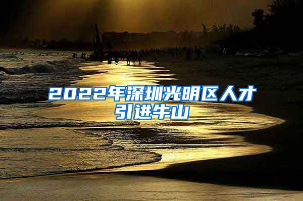 2022年深圳光明区人才引进牛山