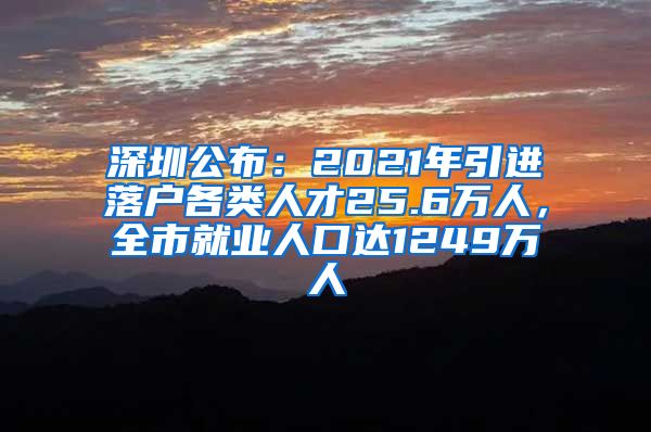 深圳公布：2021年引进落户各类人才25.6万人，全市就业人口达1249万人