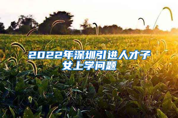 2022年深圳引进人才子女上学问题