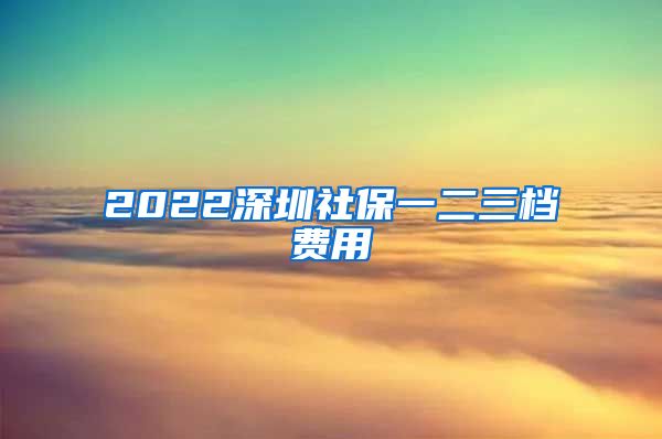 2022深圳社保一二三档费用