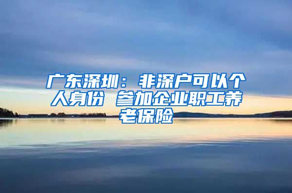 广东深圳：非深户可以个人身份 参加企业职工养老保险