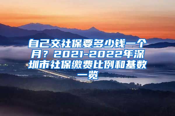 自己交社保要多少钱一个月？2021-2022年深圳市社保缴费比例和基数一览