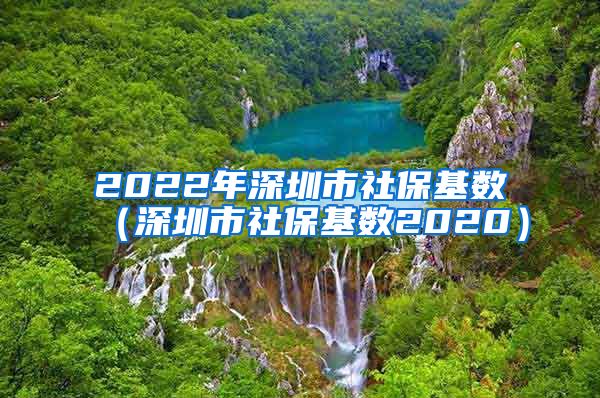 2022年深圳市社保基数（深圳市社保基数2020）