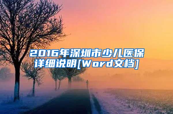 2016年深圳市少儿医保详细说明[Word文档]