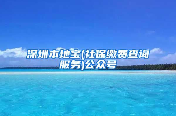 深圳本地宝(社保缴费查询服务)公众号