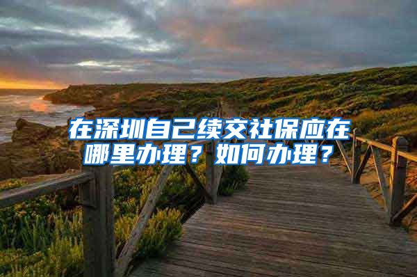 在深圳自己续交社保应在哪里办理？如何办理？