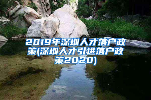 2019年深圳人才落户政策(深圳人才引进落户政策2020)