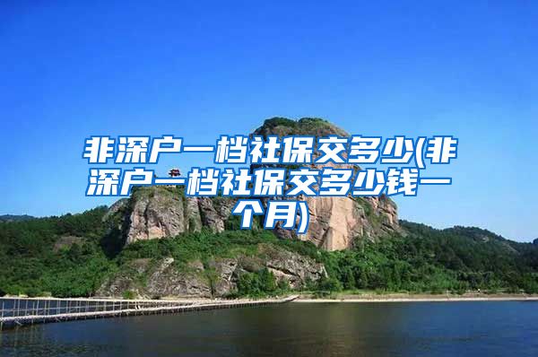 非深户一档社保交多少(非深户一档社保交多少钱一个月)