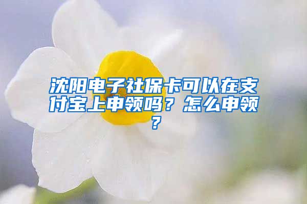 沈阳电子社保卡可以在支付宝上申领吗？怎么申领？