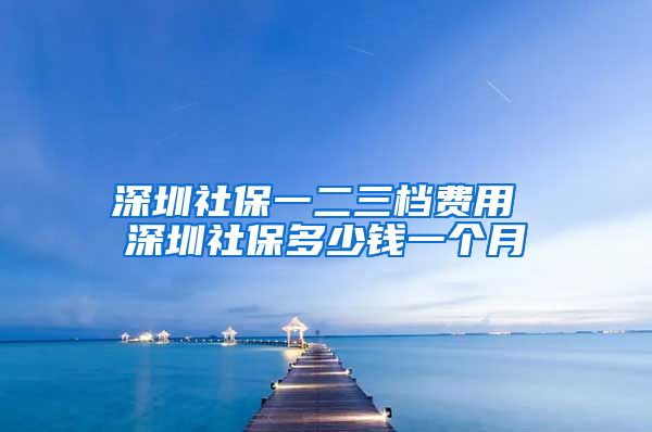 深圳社保一二三档费用 深圳社保多少钱一个月