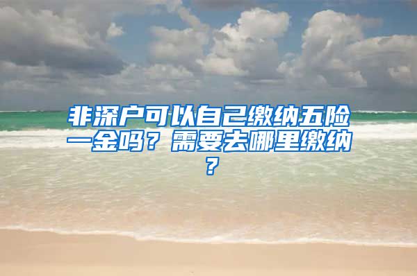 非深户可以自己缴纳五险一金吗？需要去哪里缴纳？