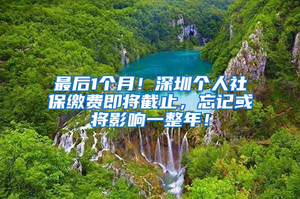 最后1个月！深圳个人社保缴费即将截止，忘记或将影响一整年！