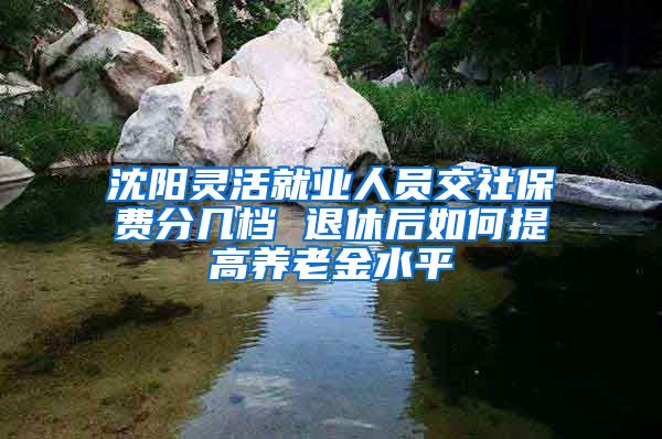 沈阳灵活就业人员交社保费分几档 退休后如何提高养老金水平