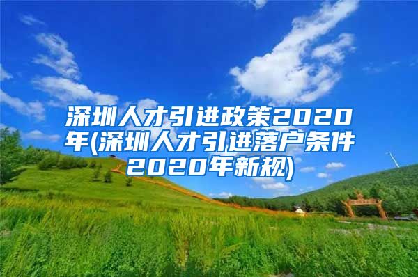 深圳人才引进政策2020年(深圳人才引进落户条件2020年新规)