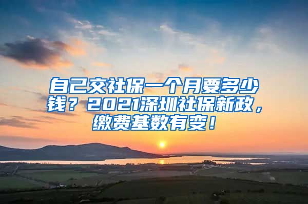 自己交社保一个月要多少钱？2021深圳社保新政，缴费基数有变！