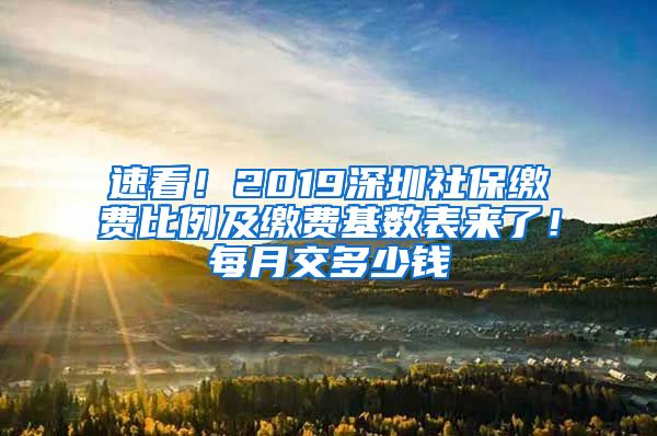 速看！2019深圳社保缴费比例及缴费基数表来了！每月交多少钱