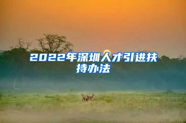 2022年深圳人才引进扶持办法