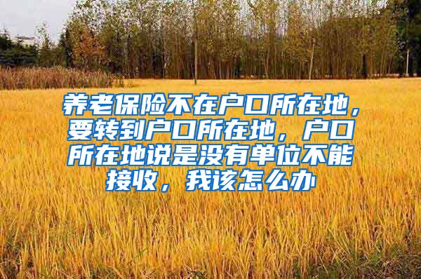 养老保险不在户口所在地，要转到户口所在地，户口所在地说是没有单位不能接收，我该怎么办