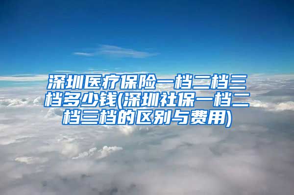 深圳医疗保险一档二档三档多少钱(深圳社保一档二档三档的区别与费用)