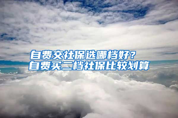 自费交社保选哪档好？ 自费买二档社保比较划算