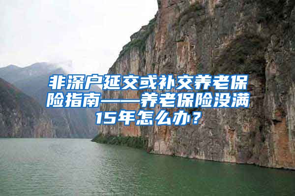 非深户延交或补交养老保险指南——养老保险没满15年怎么办？