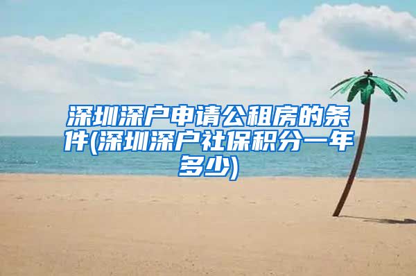 深圳深户申请公租房的条件(深圳深户社保积分一年多少)