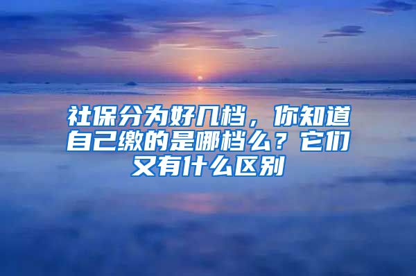 社保分为好几档，你知道自己缴的是哪档么？它们又有什么区别