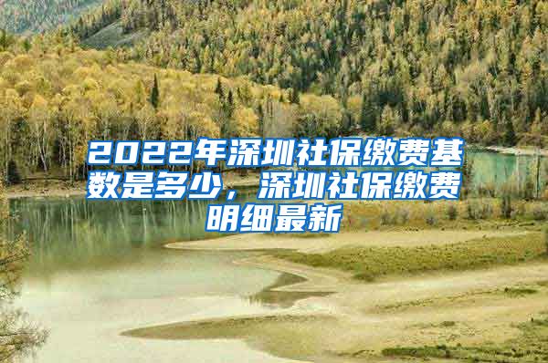 2022年深圳社保缴费基数是多少，深圳社保缴费明细最新