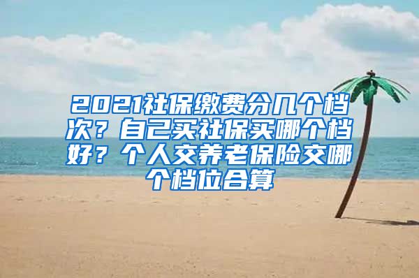 2021社保缴费分几个档次？自己买社保买哪个档好？个人交养老保险交哪个档位合算