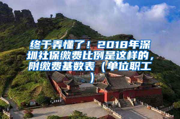 终于弄懂了！2018年深圳社保缴费比例是这样的，附缴费基数表（单位职工）