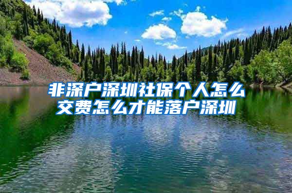 非深户深圳社保个人怎么交费怎么才能落户深圳