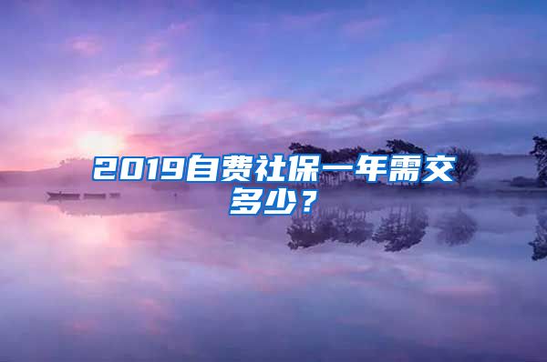 2019自费社保一年需交多少？