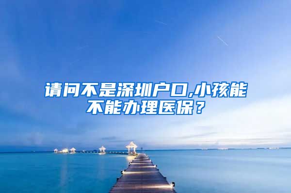 请问不是深圳户口,小孩能不能办理医保？