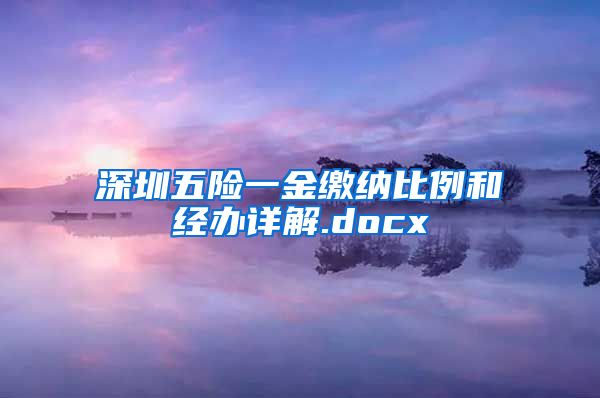 深圳五险一金缴纳比例和经办详解.docx